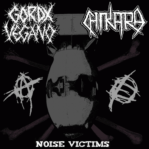 Chikara : Noise Victims Chikara : Noise Victims